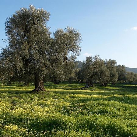 Minicasa nella natura, con piscina a due passi Ostuni Esterno foto