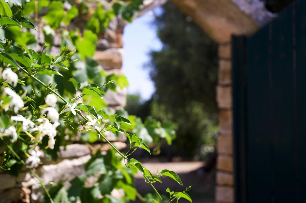 Minicasa nella natura, con piscina a due passi Ostuni Esterno foto