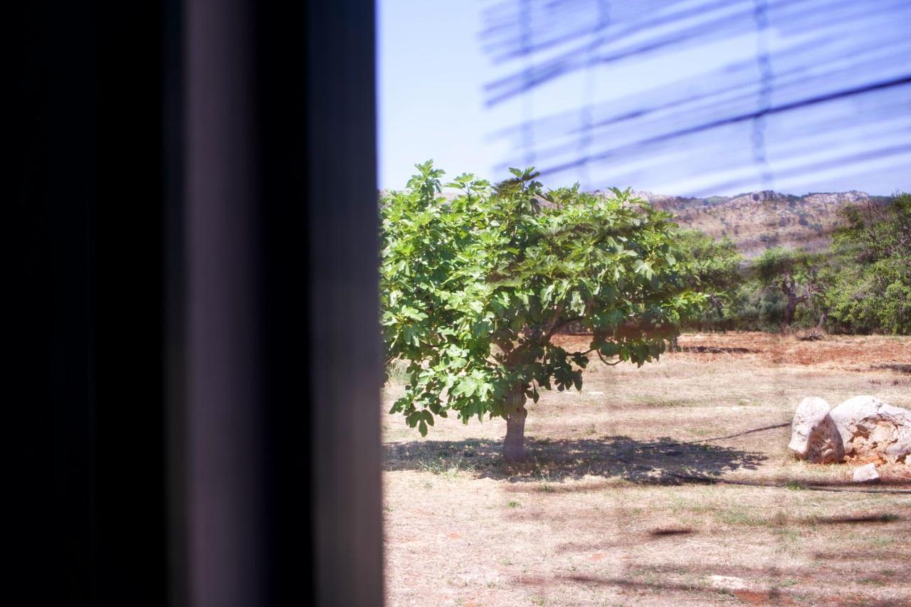 Minicasa nella natura, con piscina a due passi Ostuni Esterno foto