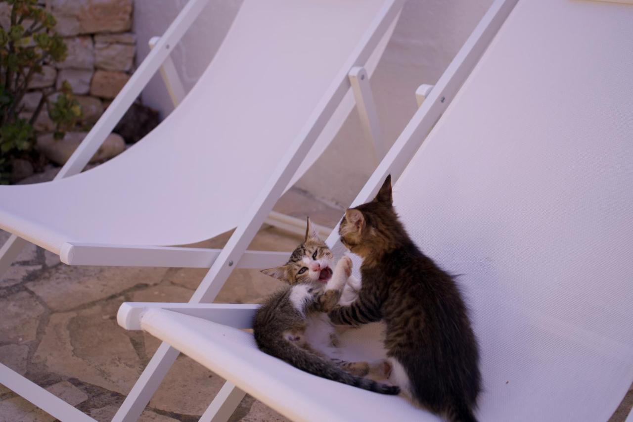 Minicasa nella natura, con piscina a due passi Ostuni Esterno foto