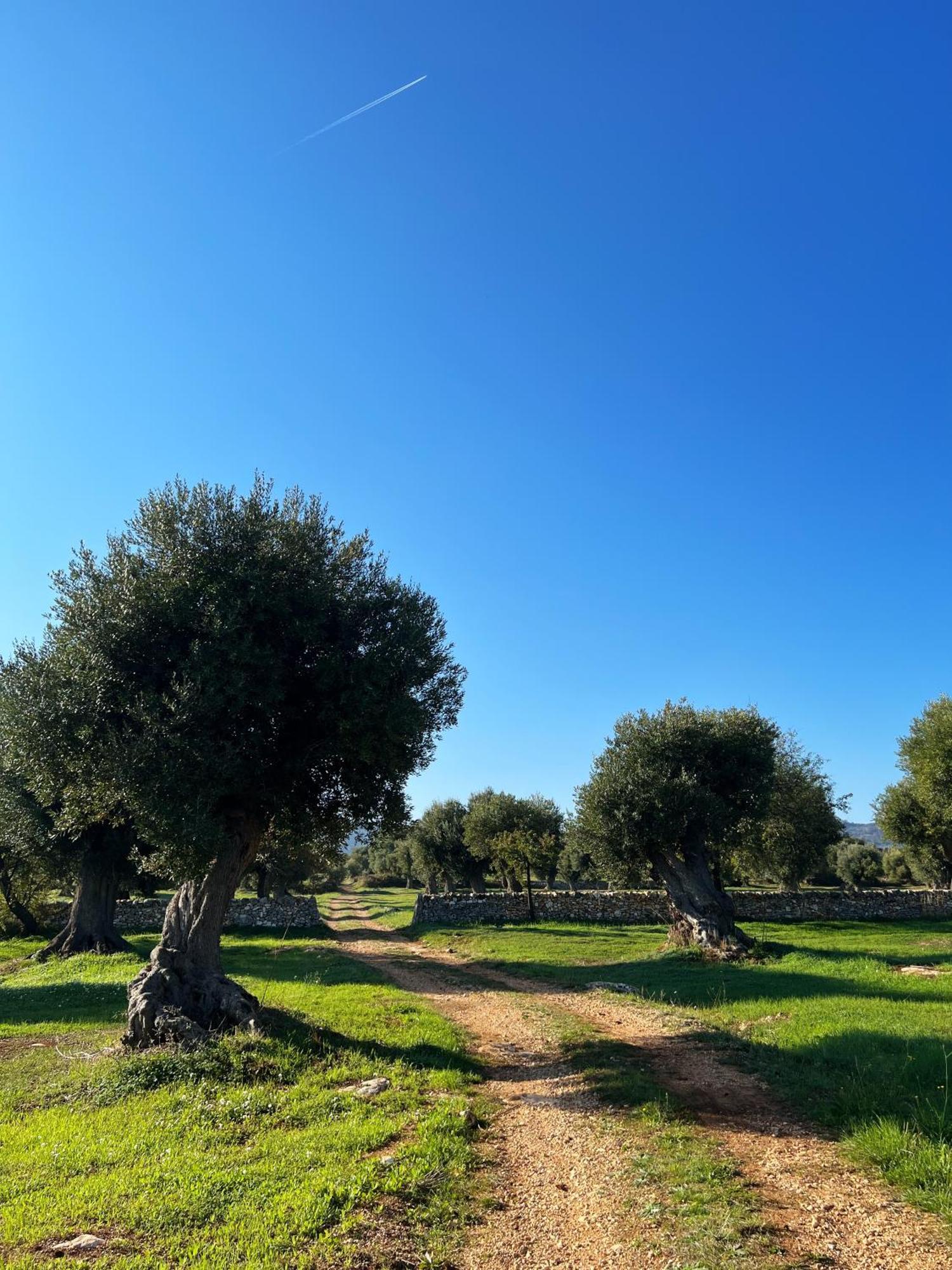 Minicasa nella natura, con piscina a due passi Ostuni Esterno foto